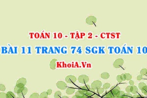 Bài 11 trang 74 SGK Toán 10 tập 2 Chân trời sáng tạo